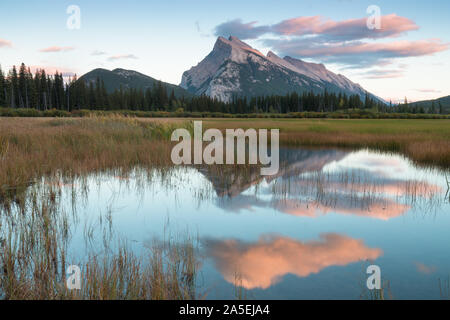 Panorama des Mount Rundle Berggipfels mit blauem Himmel in Vermilion Lakes im Banff Nationalpark, Alberta Kanada. Die Sommersaison steht vor der Tür. Be Stockfoto