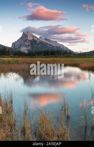 Panorama des Mount Rundle Berggipfels mit blauem Himmel in Vermilion Lakes im Banff Nationalpark, Alberta Kanada. Die Sommersaison steht vor der Tür. Be Stockfoto