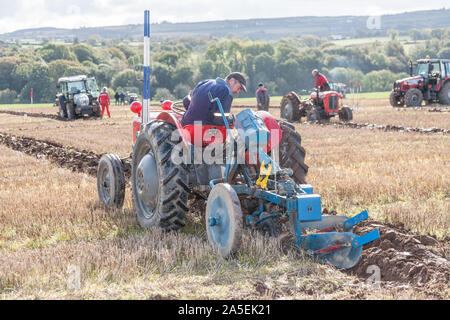 Rathcormac, Cork, Irland. Okt, 2019 20. Henry McGrath, Knockanore, Co. Waterford im Rahmen der jährlichen Pflügen pflügen Bartlemy Vereinigung übereinstimmen, die auf dem Hof von Terence Coughlan bei Rathcormac Curraghprevin Co.Cork abgehalten - Kredit; Quelle: David Creedon/Alamy leben Nachrichten Stockfoto