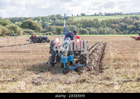 Rathcormac, Cork, Irland. Okt, 2019 20. Henry McGrath, Knockanore, Co. Waterford im Rahmen der jährlichen Pflügen pflügen Bartlemy Vereinigung übereinstimmen, die auf dem Hof von Terence Coughlan bei Rathcormac Curraghprevin Co.Cork abgehalten - Kredit; Quelle: David Creedon/Alamy leben Nachrichten Stockfoto