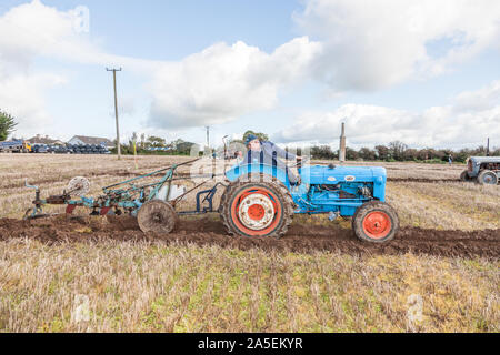 Rathcormac, Cork, Irland. Okt, 2019 20. Pat Connolly, Kildare im Rahmen der jährlichen Pflügen pflügen Bartlemy Vereinigung übereinstimmen, die auf dem Hof von Terence Coughlan bei Rathcormac Curraghprevin Co.Cork abgehalten - Kredit; Quelle: David Creedon/Alamy leben Nachrichten Stockfoto