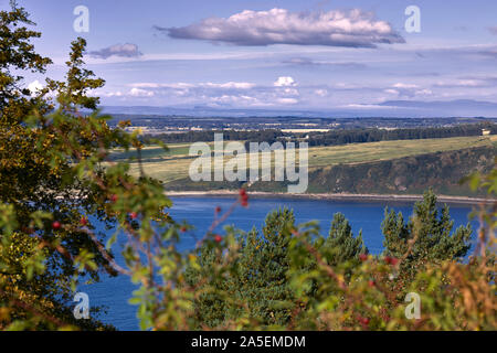 Nördlich vom Aussichtspunkt an der Sutors von Cromarty. 23/09/19. Stockfoto