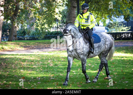 Westminster, London, 19. Oktober 2019. Völker stimmen. Metropolitan Police Officer montiert. Stockfoto