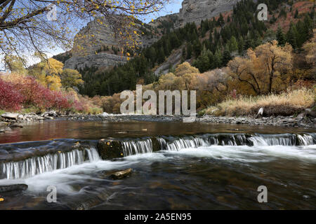 Provo River im Herbst, Utah Stockfoto