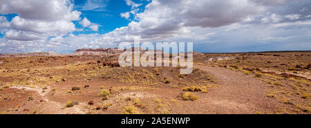 Panorama-Palette der Natur und Kunst auf der Petrified Forest National Park, Arizona Stockfoto