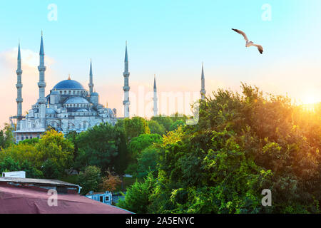 Die Blaue Moschee in Istanbul, Seitenansicht Stockfoto