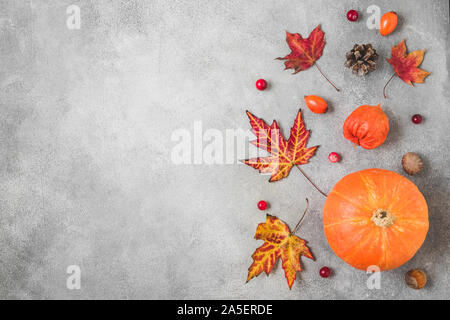 Happy Thanksgiving Tag Zusammensetzung. Kürbis, Herbst Blätter, Blüten, Beeren, Nüsse auf konkreten Hintergrund. Herbst, Herbst, Thanksgiving Day Konzept. Fla Stockfoto