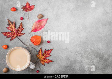 Herbst oder im Herbst Komposition. Kaffeetasse, Herbst Blätter, Blüten, Beeren, Nüsse auf konkreten Hintergrund. Herbst, Herbst, Thanksgiving Day Konzept. Flach Stockfoto