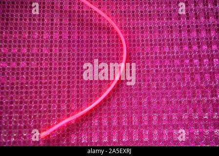 Rosa glühenden Draht, kalten Neonlicht, elektrolumineszente Kabel, Kabel liegt auf einem holografischen rosa Hintergrund mit verschiedenen Arten von Überlauf. Stockfoto