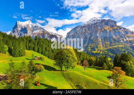 Grindelwald, Schweiz Antenne mit Blick auf das Dorf und Herbst Schweizer Alpen Panorama Landschaft, Holz- Chalets auf grünen Feldern und hohen Gipfeln in zurück Stockfoto