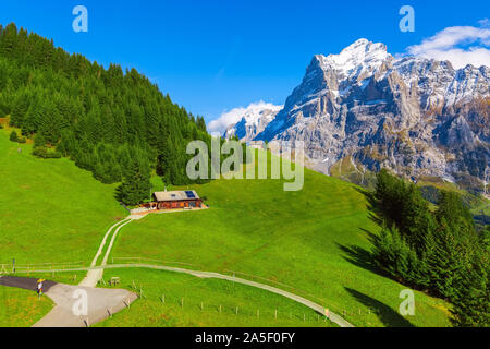 Grindelwald, Schweiz Antenne herbst Schweizer Alpen Panorama Landschaft, Holzchalet auf der grünen Wiese und hohem Schnee Gipfeln im Hintergrund, Bernes Stockfoto