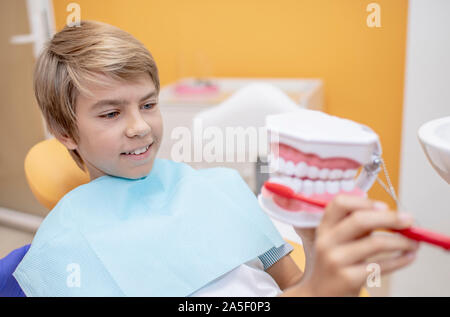 Jungen lernen, seine Zähne mit einem Modell des menschlichen Kiefer zu Bürste Stockfoto