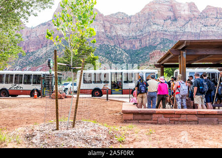 Springdale, USA - August 6, 2019: Zion National Park in Utah bei Transport Shuttle Bus stop Besucherzentrum im Sommer mit Masse von vielen Menschen Wai Stockfoto