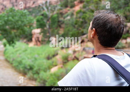 Zion National Park in Utah mit man Wanderer auf der Suche nach Ansicht des Virgin River Wasser mit grünen Bäumen, Pflanzen von der Brücke in der Nähe von Angel's Landing Trai Stockfoto