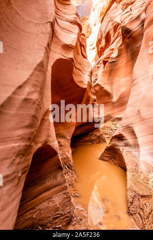 Orange Sandstein abstrakte vertikale Ansicht von Felsen und schlammigen schmutziges Wasser Pool auf engen Antelope Slot Canyon in Arizona am Fußweg weg weg vom See Stockfoto