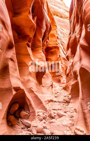 Orange Rot Wellenform formationen Felsen Schatten vertikale Ansicht auf engen Antelope Slot Canyon in Arizona am Wanderweg Wanderweg von Lake Powell. Stockfoto