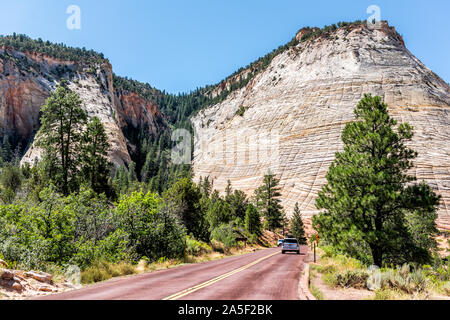 Springdale, USA - August 8, 2019: Leichte weiße Felsen Formation namens Checkerboard Mesa und Straße Autobahn mit Autos auf Sommertag in Zion National Stockfoto