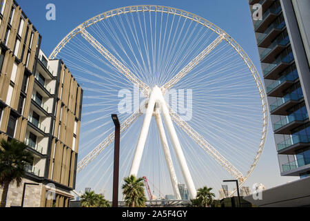 Schöne Aussicht von bluewaters Insel mit Ain Dubai's Welt höchste Beobachtung Riesenrad Stockfoto