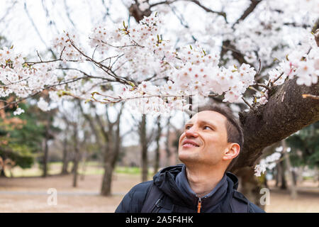 Tokio, Japan Yoyogi Park mit Nahaufnahme der glückliche junge touristische Mann stand unter dem Vordach von Sakura Blumen rosa weiß Cherry Blossom tree Stockfoto