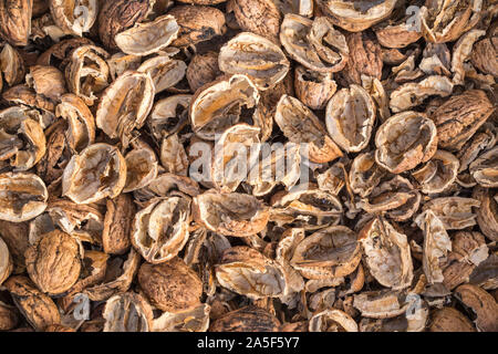 Gebrochene Nuss. Stücke von nussschalen. Kurz Textur. Stockfoto