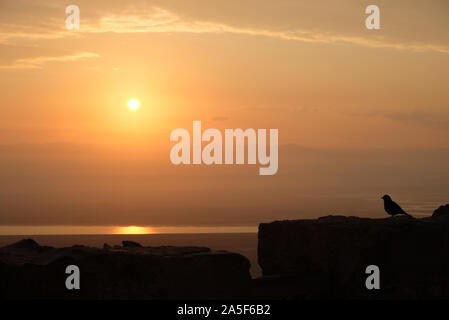 Sonnenaufgang in Israel von Masada Website, Aussicht am Toten Meer Stockfoto