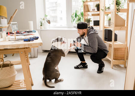 Lässiger Kerl Hocken beim Spielen mit seinem Haustier zu Hause von Arbeitsplatz und zeigte ihm, neues Spielzeug Stockfoto