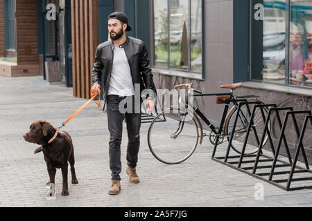 Hübscher Kerl in der casualwear Holding Leine beim Spaziergang mit seinem Haustier in städtische Umwelt Stockfoto