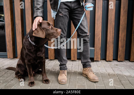 Junger Mann in schwarzen Jeans berühren Kopf og seinen süßen braunen pet Während sowohl in städtische Umwelt Stockfoto