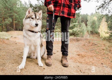 Reinrassige husky dog sitting auf Wald Straße und geradeaus schauen, während sein Besitzer stehen in der Nähe von während der Schauer in ländlicher Umgebung Stockfoto