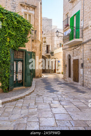 Giovinazzo, Stadt in der Provinz Bari, Apulien (Puglia), Süditalien. Stockfoto