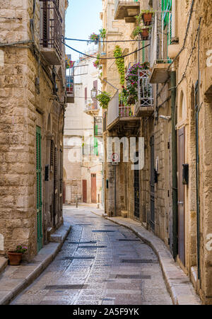 Giovinazzo, Stadt in der Provinz Bari, Apulien (Puglia), Süditalien. Stockfoto