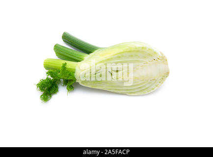 Rohen Fenchel. Frische Fenchelknolle isoliert auf weißem Hintergrund, Top View, close-up Stockfoto