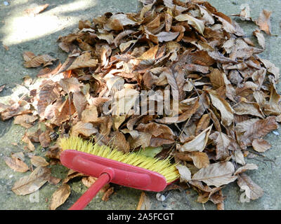 Reinigung im Herbst. Eine Menge Laub in einem großen Haufen gesammelt. Stockfoto