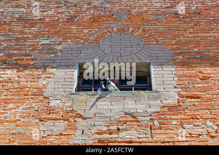 Tauben Paar auf der Wand der Kapelle der Gefallenen in Montopoli in Val d'Arno, Toskana, Italien. Stockfoto