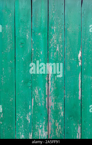 Boards einer alten hölzernen Zaun mit grünem Lack überzogen. Die Farbe ist geknackt und schälen. Eine Menge von Knoten in den Brettern. Stockfoto
