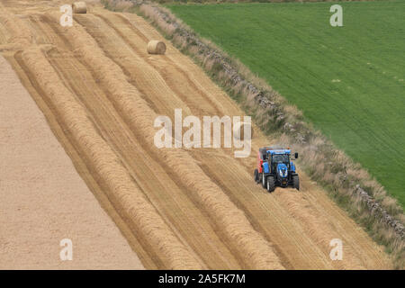 Ein Landwirt Pressen von Stroh in einer teilweise Abgeernteten Feld neben einer Trockenmauer in Schottland Stockfoto