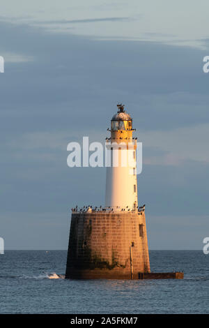 Rattray Head Lighthouse an der Nordostküste von Aberdeenshire ist ein Roost für Kormorane und andere Seevögel Stockfoto