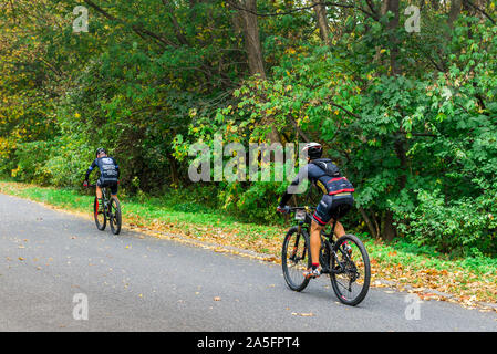 Polen, Sobotka - 19. Oktober 2019: Zwei Männer konkurrieren in Mountain Bike Racing Stockfoto