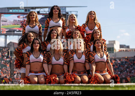 Cincinnati, OH, USA. Okt, 2019 20. Cincinnati Bengals Cheerleader während NFL Football Spiel Action zwischen der Jacksonville Jaguars und die Cincinnati Bengals an Paul Brown Stadium am 20. Oktober 2019 in Cincinnati, OH. Adam Lacy/CSM/Alamy leben Nachrichten Stockfoto