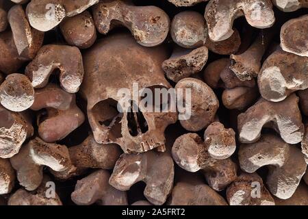 Schädel und Knochen in einer Wand Stockfoto