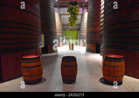 Holz braun Fässer Groß und Klein in einem Weingut angezeigt. Grüne Trauben, die von der Decke hängen im Hintergrund. Authentische Weinprobe erleben. Stockfoto