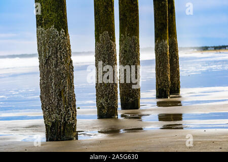 Barnacle abgedeckt pier Masten an der Küste in Old Orchard Beach, Maine Stockfoto