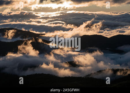 Nebliger Sonnenaufgang mit Blick auf den Pisgah National Forest am Blue Ridge Parkway, in der Nähe der Brevard, North Carolina, USA Stockfoto