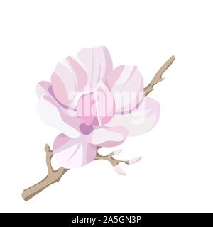 Magnolia - Baum Blume auf weißem Hintergrund. Contour Silhouette einer blühenden Zweig. Vector Illustration Stock Vektor