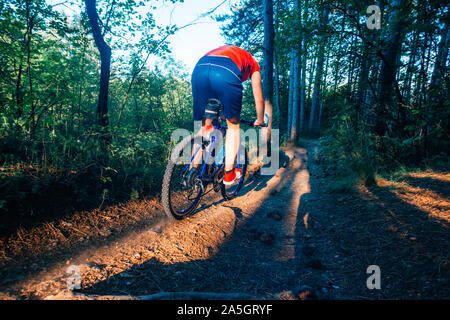 Mann auf Mountainbike Touren auf den Spuren durch den Wald und dabei extrem schnell. Stockfoto