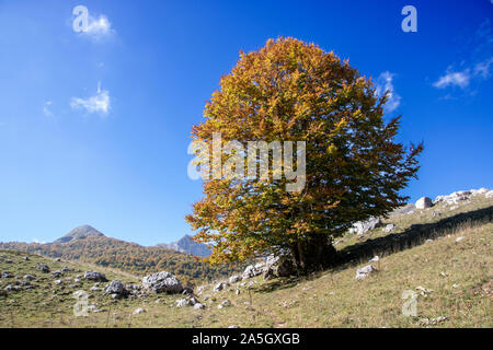 Sonnigen Tal im Nationalpark Abruzzen im Herbst, Italien Stockfoto