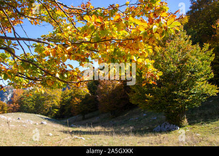 Sonnigen Tal im Nationalpark Abruzzen im Herbst, Italien Stockfoto