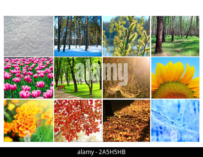 Leere mit unterschiedlichen Zwölf farbige Bilder der Natur für Kalender. Bereit Foto für den Kalender Stockfoto