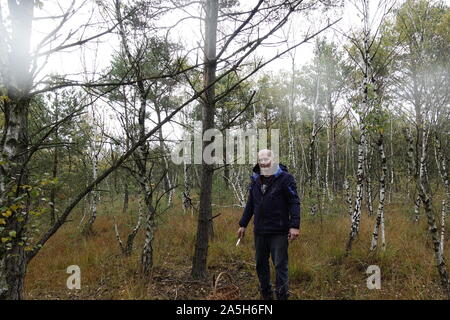 Man Pilze im Wald Stockfoto