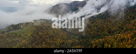 Antenne drone Ansicht einer Neblig Foggy Mountain Road, wie es die Winde durch die getrübte Herbst Wald in den alpinen Jura. Stockfoto